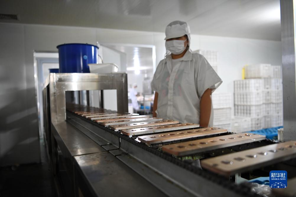提现游戏软件